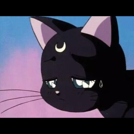 Сейлормун кошка луна