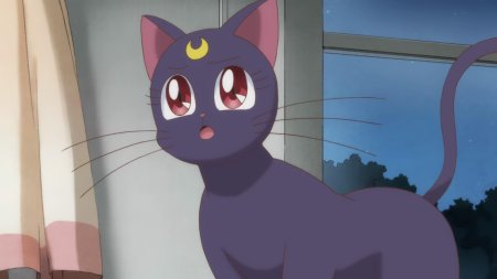 Кошка луна из сейлор мун