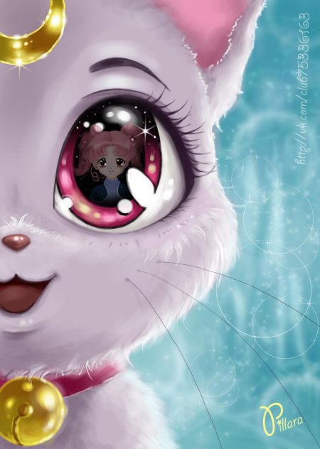 Sailor moon луна кошка