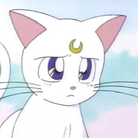 Артемис сейлормун кошка