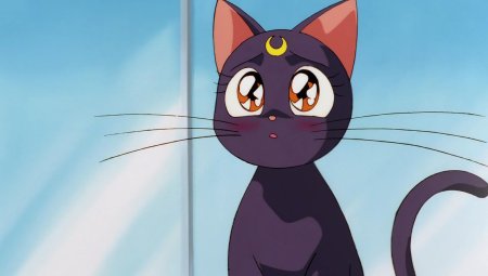 Кот из сейлормун