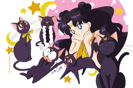 Артемис сейлормун человек