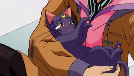 Сейлормун кошка диана