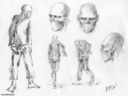 Енё барчаи анатомия