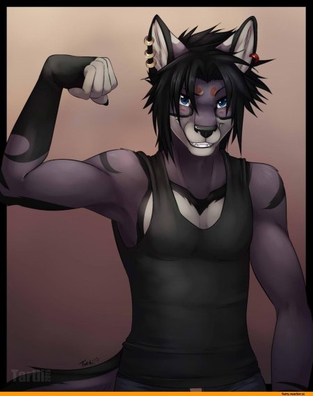 Фурри парень