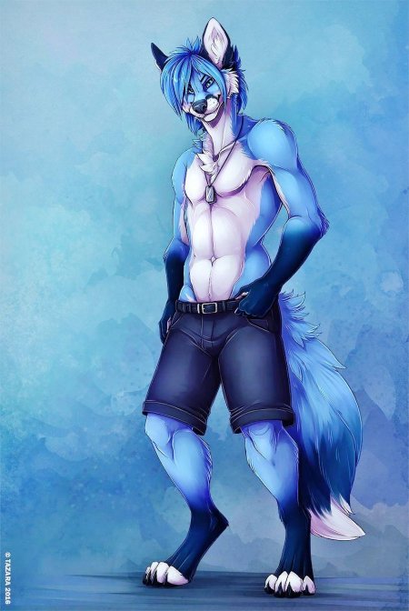 Фурри парень