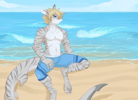 Акула фурри