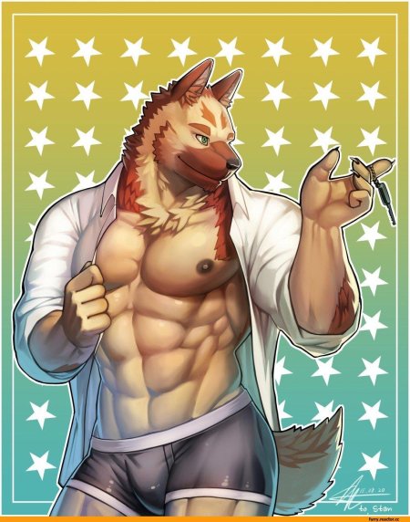 Качки фурри