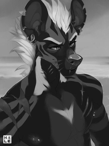 Фурри пинтерест