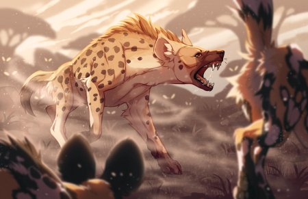 Гинга гиена