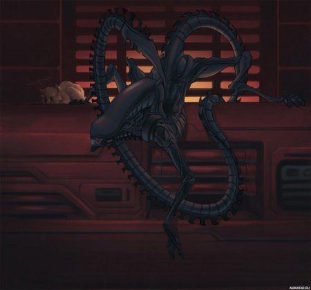 Xenomorph e