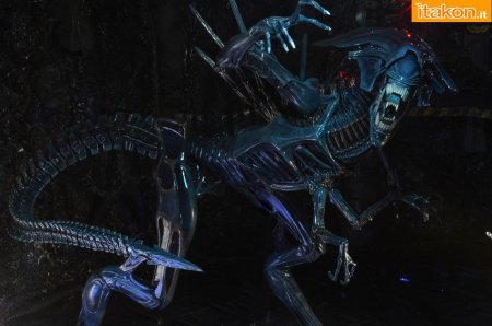 Чужие ксеноморфы королева