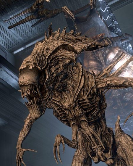 Игра чужой против хищника