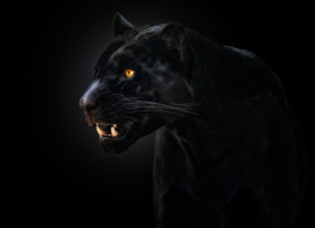 Пантера красивая