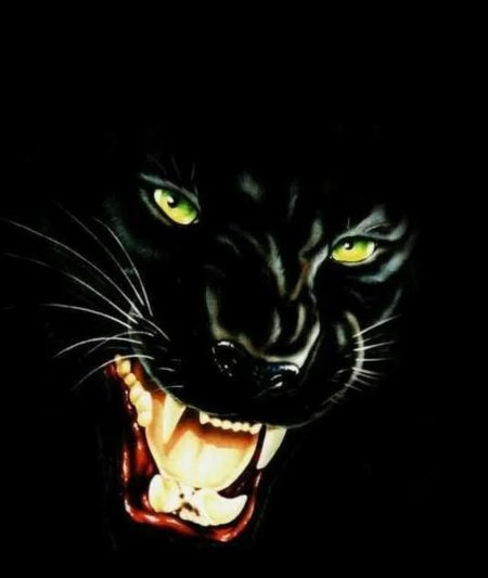 Оскал пантеры