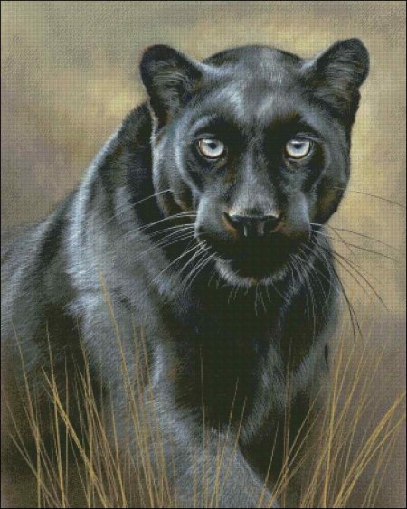 Художница-анималист rebecca latham