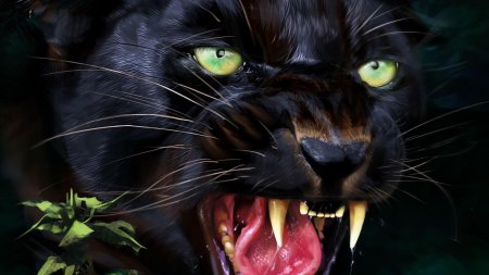 Оскал пантеры