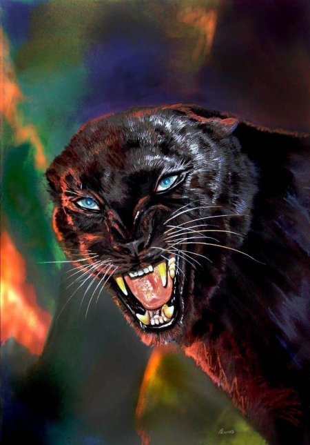 Черная пантера оскал