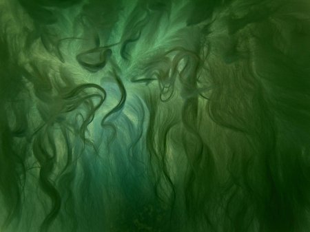 Водоросли фон