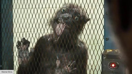 Отряд самоубийц миссия навылет