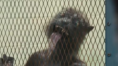 Отряд самоубийц миссия навылет фильм 2021 ласка