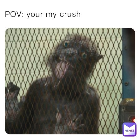 Отряд самоубийц миссия навылет ласка