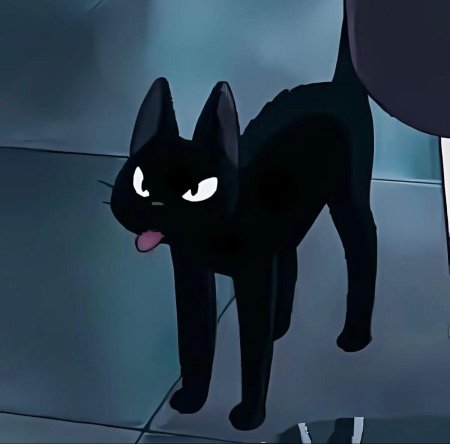 Чёрный кот из ведьмина служба доставки