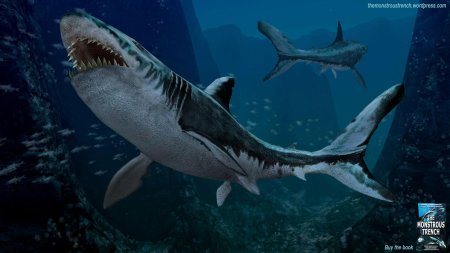 Акула мегалодон