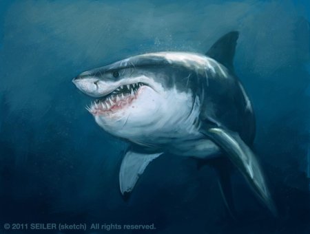 Большая белая акула кархародон