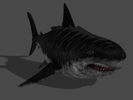 Древние акулы мегалодон