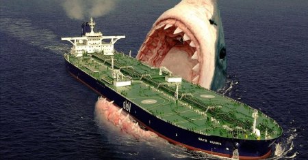 Самая огромная акула