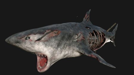 Кархародон мегалодон скелет