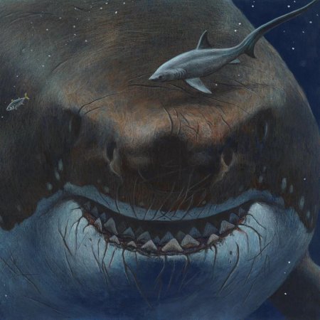 Древняя акула мегалодон