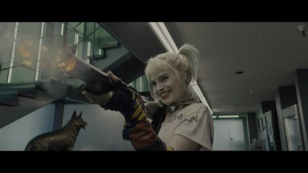 Харли квинн отряд самоубийц