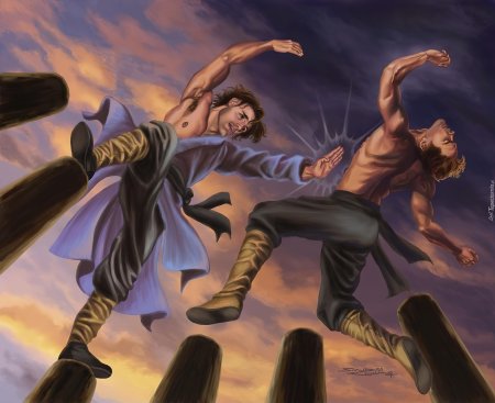 Гарри поттер экспеллиармус