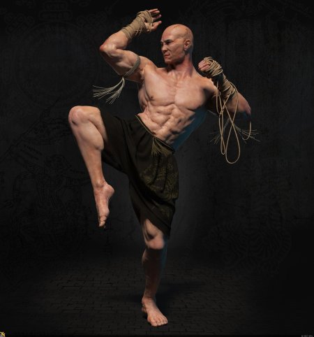 Мастер боевых искусств