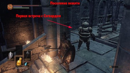 Сигвард из катарины dark souls 3