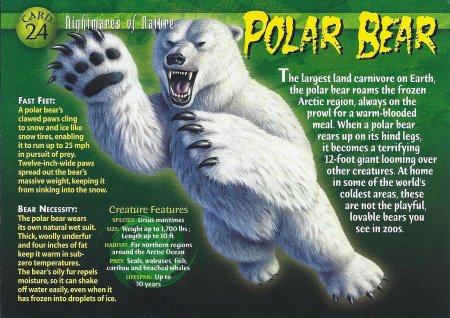 The polar bear