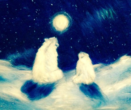 Северное сияние медведица умка