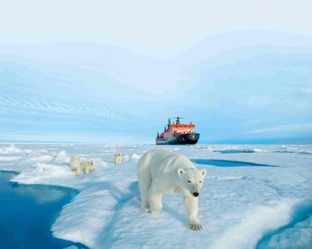 Арктика северный полюс