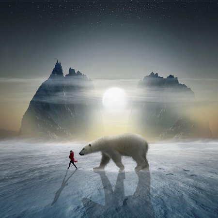 Белые медведи