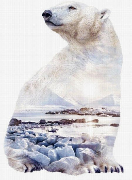Картина белый медведь