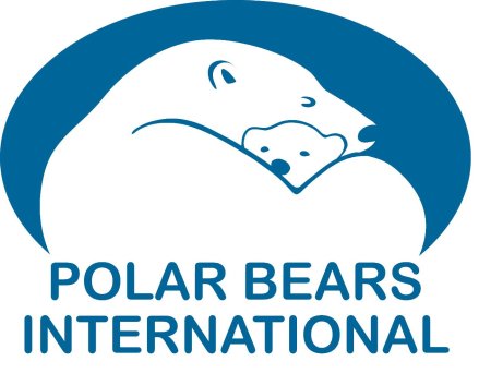 Polar bears international