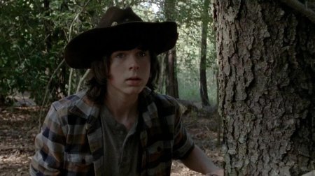 Чендлер риггз ходячие мертвецы