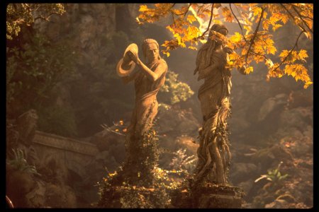 Ривенделл арвен