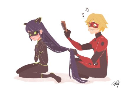 Леди баг и кот ноир