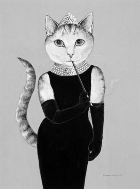 Кошка одри хепберн