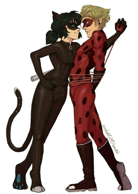 Кот нуар и леди баг