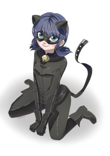 Леди кошка и супер кот