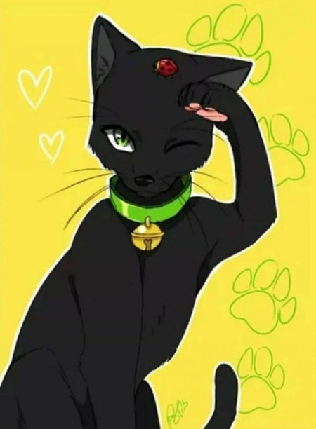 Леди баг и супер кот чёрный кот